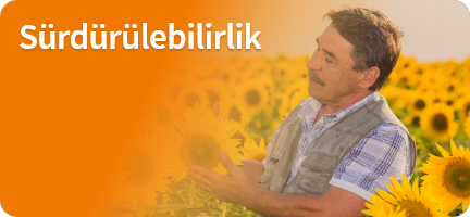 Sürdürülebilirlik